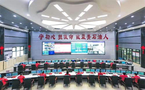 服務(wù)川渝一億人，守護(hù)碧水安瀾——全國(guó)實(shí)際處理量最大凈化廠安全投產(chǎn)十周年紀(jì)實(shí)