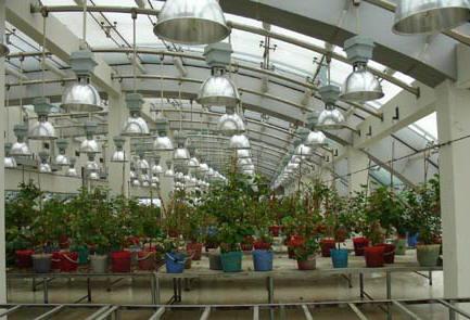 江南電子儀器廠 創新引領，打造電子設備智造新高地